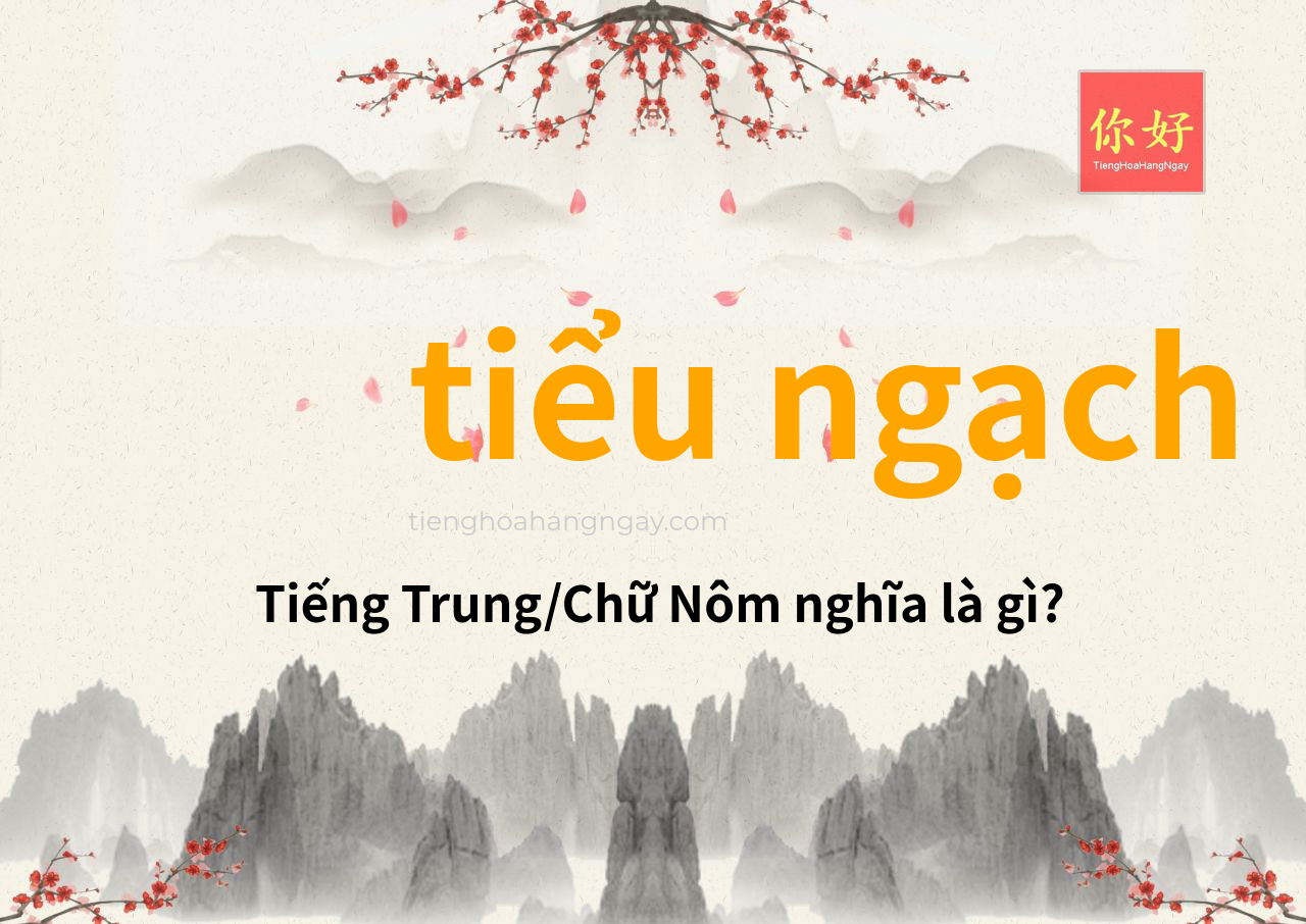 tiểu ngạch tiếng Trung là gì?
